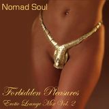 Forbidden Pleasures: Erotic Lounge Mix Vol. 2