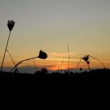 Lost & found 8 - (una notte in italia)