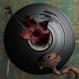 Ms Skyrym Sounds (26 07 2014)