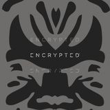 Encrypted Audio x FatKidOnFire mix