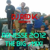Renesse 2012 THE BIG MIX!