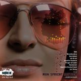 Dj N-dee .. Man Spricht Deutsch Vol.II ...elektronisch