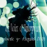 The Voice of Underground - episode 9 - Liquid DNB