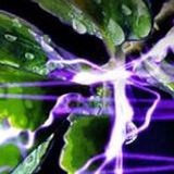 Anacutik progtofullon psytrance <3 -13-09-2014