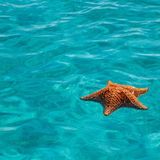 Live beachset pt.2 by Happyguy - Summer 2013