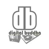 Mixed Tapes - D Day420 sideB - digit@l buddha