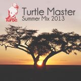 Turtle Master - Summer Mix 2013
