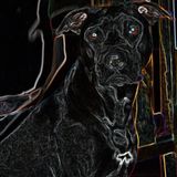 Black Goodbye