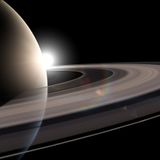Venus Rings