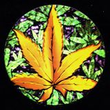 Ganja Records Mix pt.2 : STILL SMOKIN'