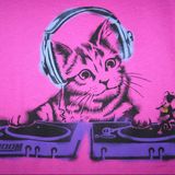 Dancingcat-vara dansam