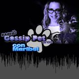 RADIO GOSSIP PET EN VIVO - 6 FEBRERO 2014