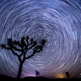 Berni - The Night