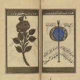 Alchemy of Love