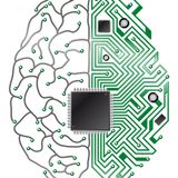 Tom Schoppet - Cerebral 07-29-2014