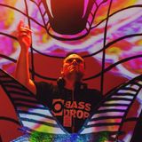 The Bassix (Open-Eye) Viper tour 2015 (Sydney)