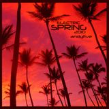 Electric Spring 2010