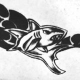 OMFG IT'S A SHARK! Mix May '14 by DJ Crazy Shark