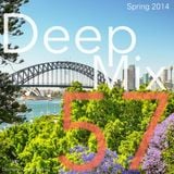Deep Mix - Spring 2014