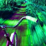 Racing with the psychedelic