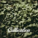 Cultivation