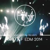 Best of EDM 2014 Mix