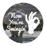 Now You're Swingin' - Episode 10b 'Love Rhino' Special