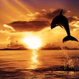 Bar Iemon - Serene's ''Soul Heaven'' Mix Aug 2013