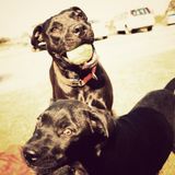 Jaina & Poncho on xxtasy 15-jun-2011