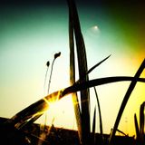 A bunch of song´s mix part 4