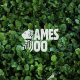 Jameszoo - When I'm Trippin