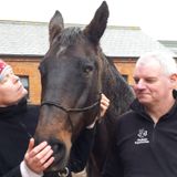 All Things Equine with a Twist - Saturday 6th December 2014