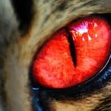 Red Eye 2016