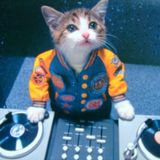Meet the Count of Monte Disco