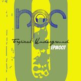 Tropical Underground /// Compilation /// NI-F1 Mix
