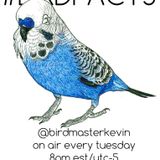 Birdmaster Kevin - RWD.FM Broadcast 4/21/2015