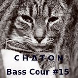 Bass Cour 15