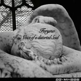 Feryne - Voice Of A Distorted Soul (Ae-Mix006)