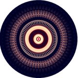 INCONDITE VERITAS ,sharing the best of house music, live in the mix (Incondite Veritas) 2