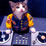 SAMPLING LUV for NIHONGO RAP / J-R&B CLASIXXX