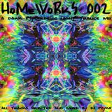 Pzyko (dj-set) : HoMeWoRkS 002 (Winter 2004)