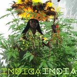 El Amaral / INDIAINDICA