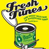 Fresh Tunes live mix by Levy 05_2013