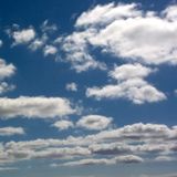 Music Musica : Best of 2011