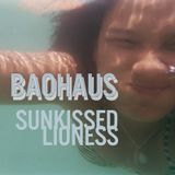 Sunkissed Lioness