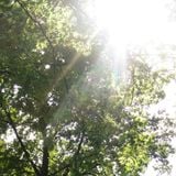 Wolkenlos