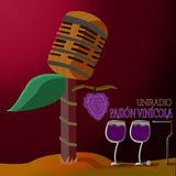Pasión Vinícola 11 06 15: Elementos que encontramos en la etiqueta de nuestra botella de vino.