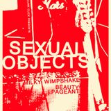 The Sexual Objects on Marc Riley 6Music 15-03-12