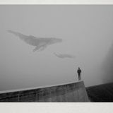 Ambivalence pt.2 (adagio)