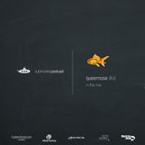Submarine Podcast 024: Queemose in the mix
